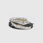 2835 120SMD - Tira De LED Ultravioleta "Luz Negra" - 37973 - imagen 2