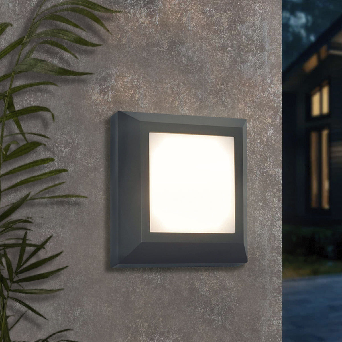Aplique LED De Pared CCT3 Antracita 3.1W - 38123 - imagen 2