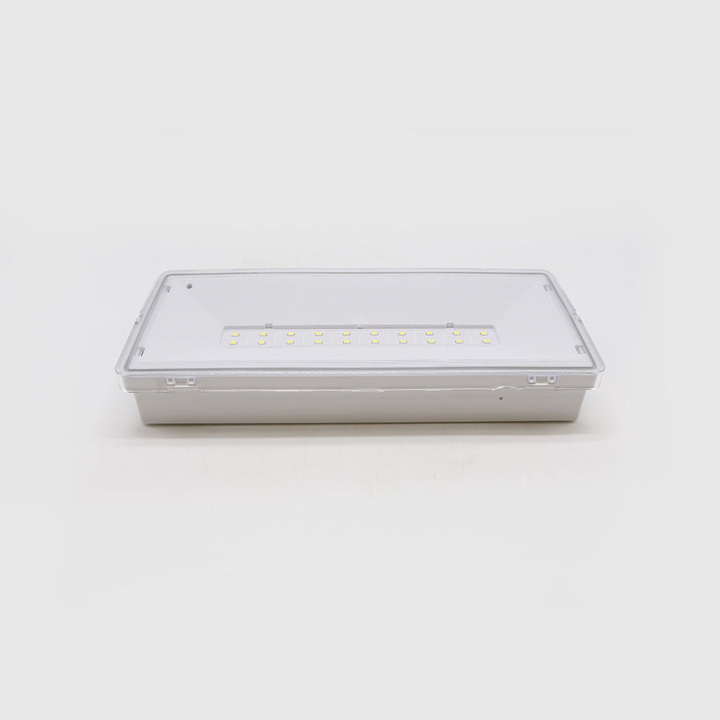 R20 - Luminaria LED De Emergencia Permanente 6500K 4,5W - 41949 - imagen 1