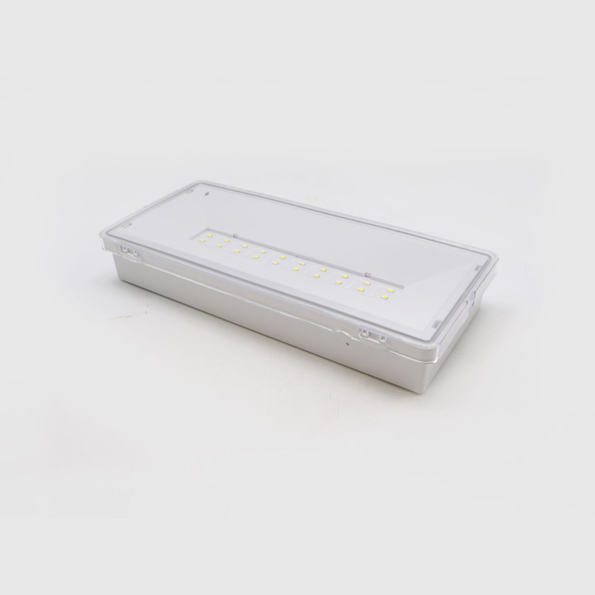 R20 - Luminaria LED De Emergencia Permanente 6500K 4,5W - 41949 - imagen 2