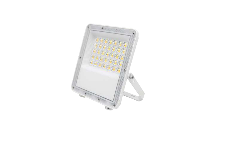 Proyector LED Slim Blanco IP65 90° 30W 3000lm 3CCT, referencia 50514, vista-2
